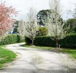 Robin Hill Manor rambling retreat  tennis court - Seniors Australia