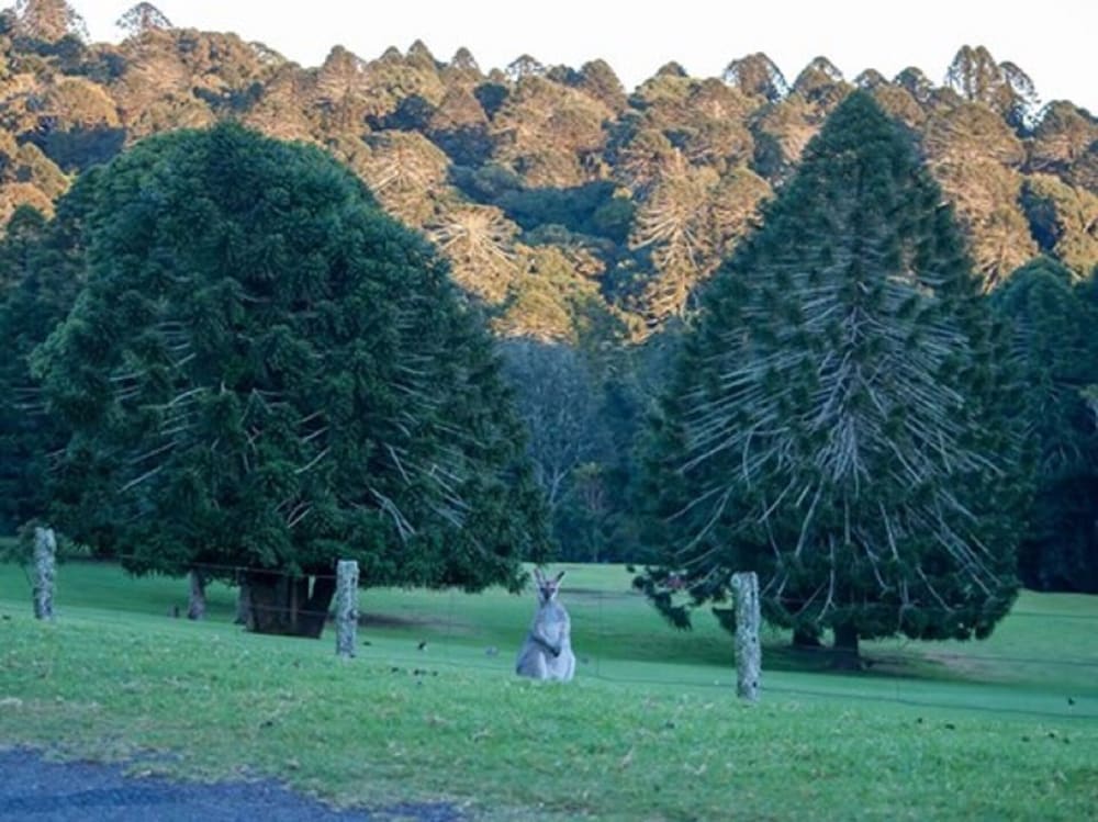 Kilbirnie QLD Seniors Australia