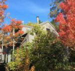 Cloudsong Chalet 4 Close to the village centre - Seniors Australia