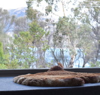 Driftwood - Seniors Australia
