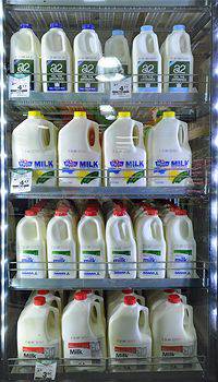 Tintenbar General Store - Seniors Australia 0