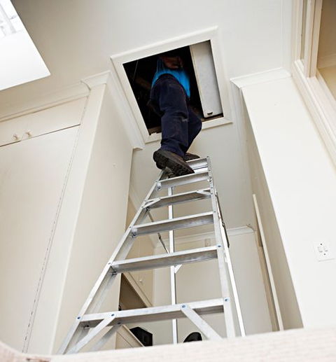 Active Pest Management - Seniors Australia 1