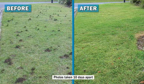 Active Pest Management - Seniors Australia 2