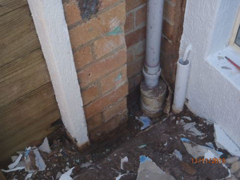 Active Pest Management - Seniors Australia 16