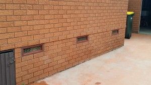 Active Pest Management - Seniors Australia 19