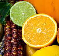 Wild Juice Bars - Seniors Australia