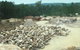 Newman Quarrying Pty Ltd - thumb 2