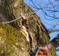 Diverse Asset Maintenance Services - Seniors Australia