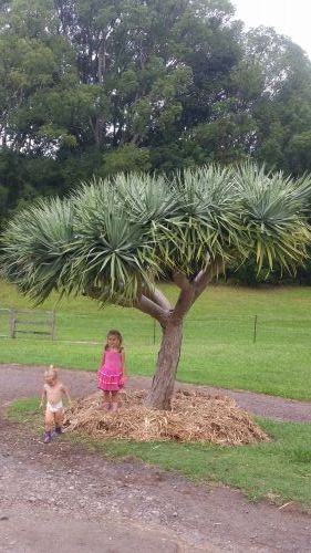 West Woombye QLD Seniors Australia