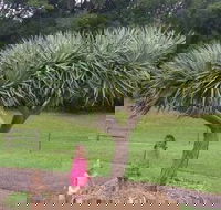 Care Transplanters - Seniors Australia