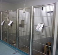 Marlin Coast Veterinary Hospital - Seniors Australia