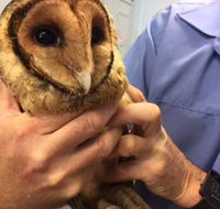 Motto Farm Veterinary Hospital - Seniors Australia