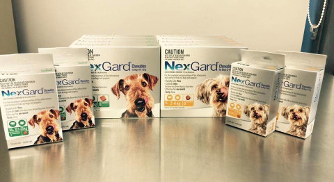 Motto Farm Veterinary Hospital - Seniors Australia 1