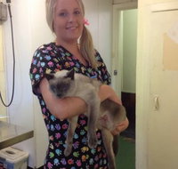 Raymond Terrace Veterinary Clinic - Seniors Australia