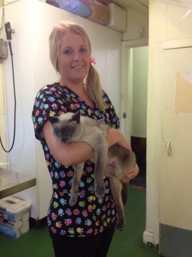 Raymond Terrace Veterinary Clinic - Seniors Australia 0
