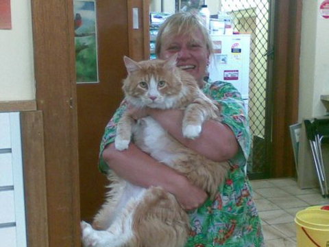 Raymond Terrace Veterinary Clinic - Seniors Australia 1