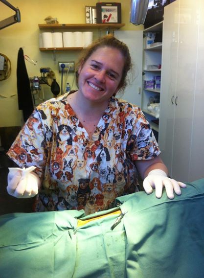 Raymond Terrace Veterinary Clinic - Seniors Australia 3