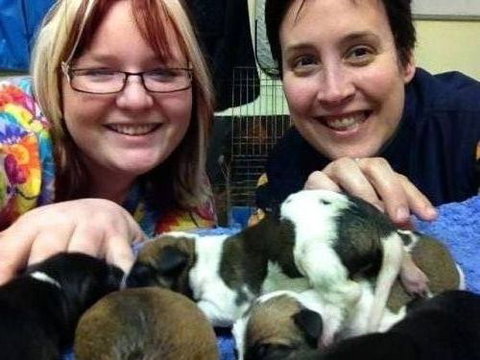 Raymond Terrace Veterinary Clinic - Seniors Australia 4
