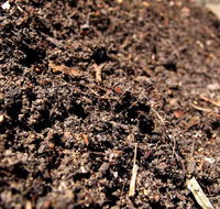 Earthborn Australia - Seniors Australia