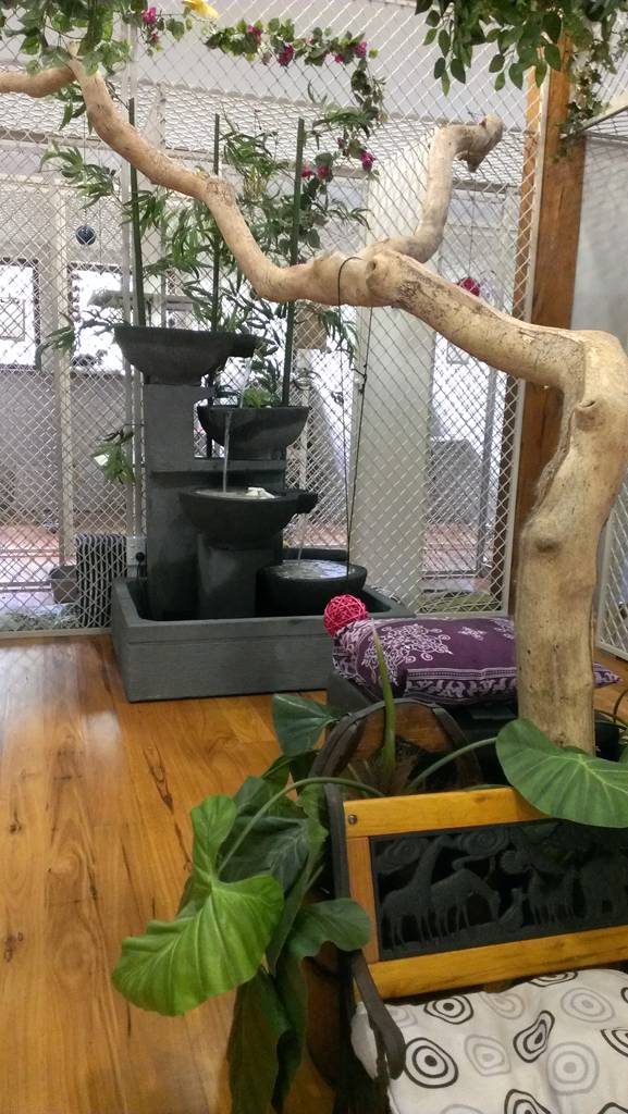 Chevallum QLD Seniors Australia