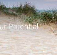 Coast Chiropractic Kawana - Seniors Australia
