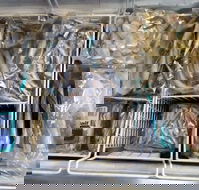 Wazzas Bait and Tackle - Seniors Australia