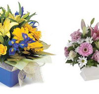 Palmwoods Florist Gifts - Seniors Australia