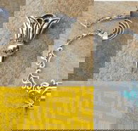 Pieces of Silver - Seniors Australia