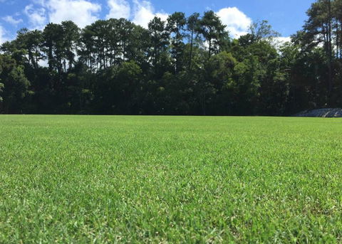 Roberts Turf Supplies - Seniors Australia 1