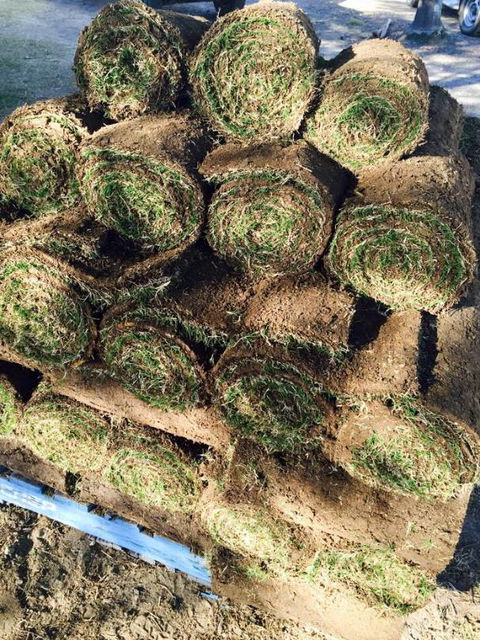 Roberts Turf Supplies - Seniors Australia 2