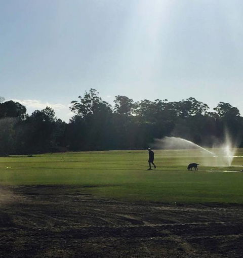 Roberts Turf Supplies - Seniors Australia 3