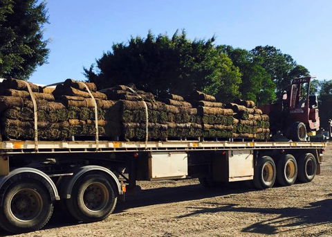 Roberts Turf Supplies - Seniors Australia 4