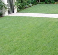 Roberts Turf Supplies - Seniors Australia