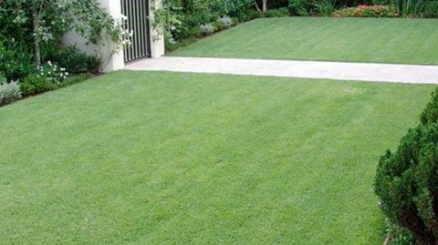 Robert’s Turf Supplies - Seniors Australia 0