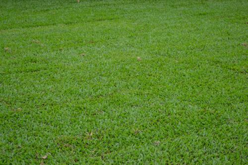 Gumlow QLD Seniors Australia