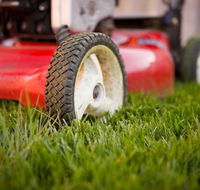 Beau Park Turf Farm - Seniors Australia