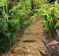 Plant Connections - Seniors Australia