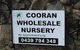 Cooran Wholesale Nursery - thumb 0