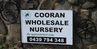 Cooran Wholesale Nursery - Seniors Australia 0