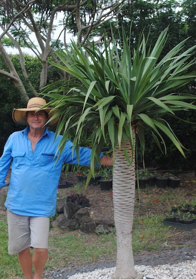 Cooran Wholesale Nursery - Seniors Australia 1